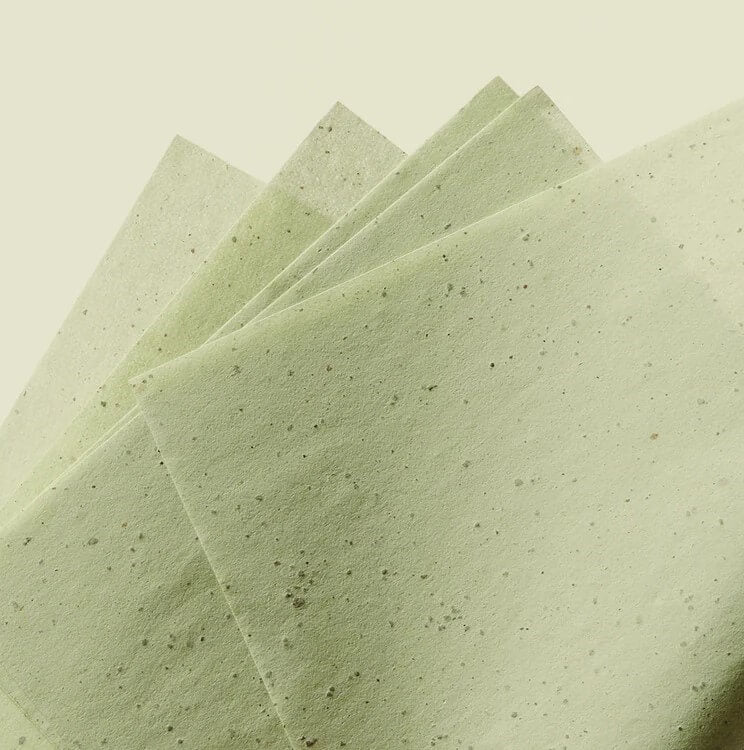 Blotberry™ Blotting Compact